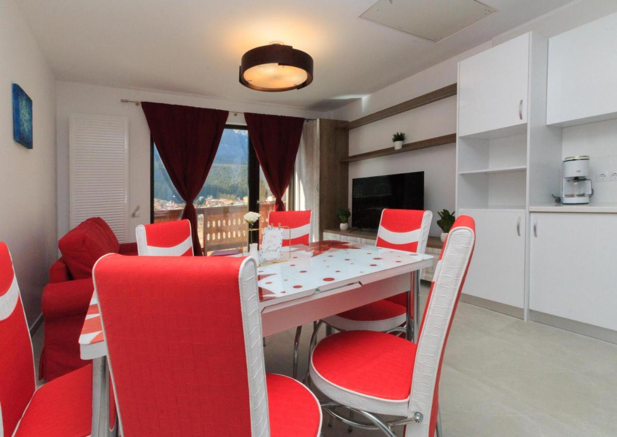 Stars & Mountain Apartment Buşteni Esterno foto