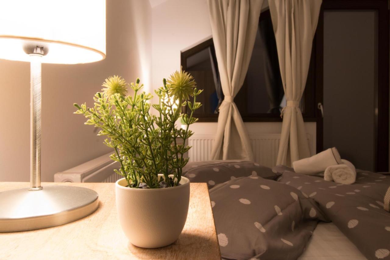 Stars & Mountain Apartment Buşteni Esterno foto
